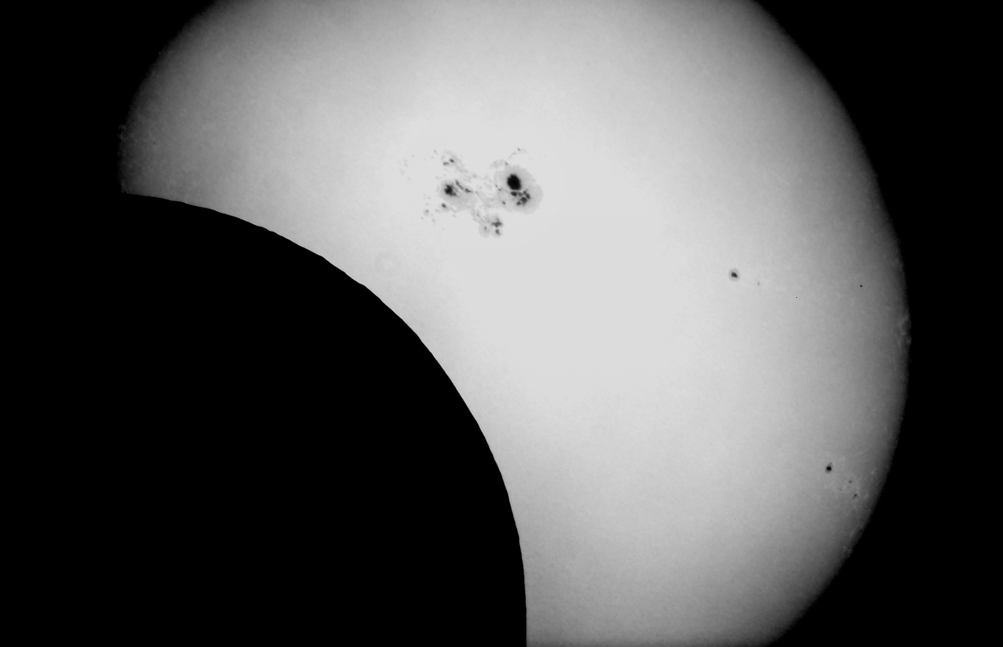 Mars SIM